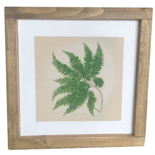 Pick one, two or three ferns to hang on your wall!   D E T A I L S • 19