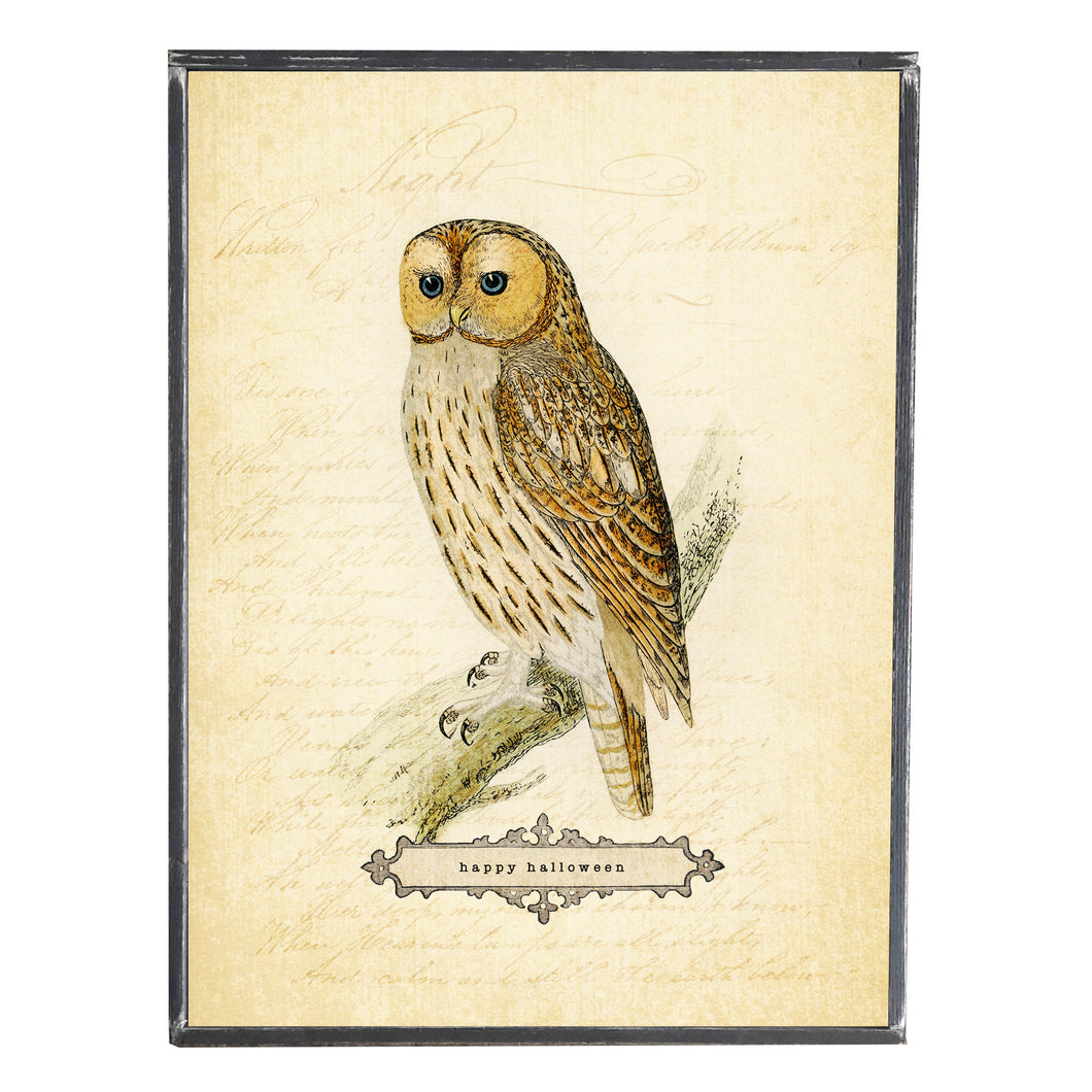 Halloween Owl \\ Happy Halloween \\ Vintage Style Framed Print