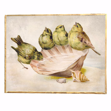 Birds in a Sea Shell \\ Cottage \\ Lake \\ Vintage Style Framed Print