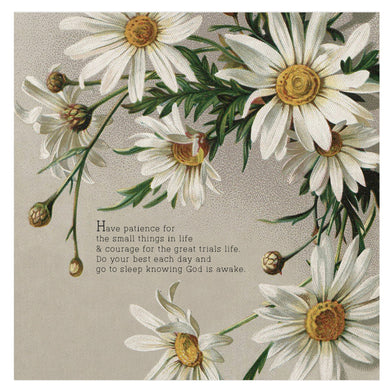 Vinage daisies  Mini Canvas