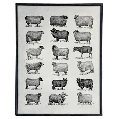 Sheep Chart \\ Vintage Style Framed Print