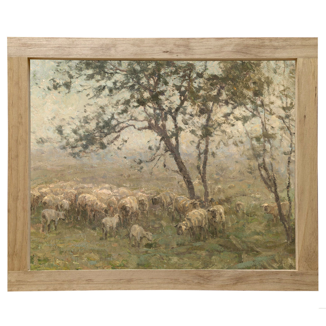 Vintage Sheep in Field Framed Canvas