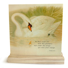 Swan, Under His Wings Mini Canvas