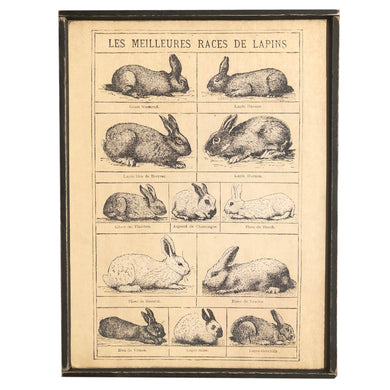 This vintage style bunny chart is fun for Easter decor or year round!  D E T A I L S • 10.5