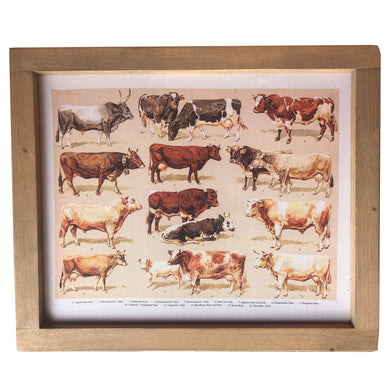 Love cows? Here's a fun accent to add to your walls!   D E T A I L S • 19
