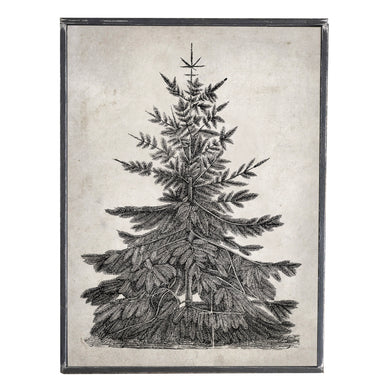 Evergreen Tree  \\ Vintage Style Framed Print