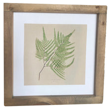 Pick one, two or three ferns to hang on your wall!   D E T A I L S • 19" x 19" overall sized framed canvas • 16" x 16" Cotton Twill Fabric Sign • Saw tooth hanger on back for easy hanging • Each sign is handmade. Frames will vary slightly in color and will have knots and natural wood character. • Signs are made to order and will take approximately 3-4 weeks for production / delivery.