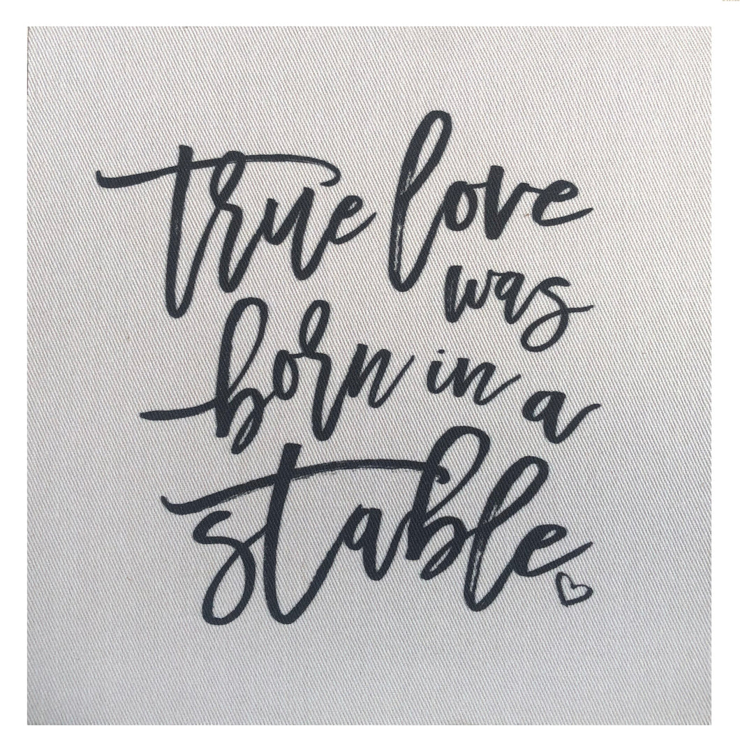 True Love Was Born In A Stable Mini Canvas