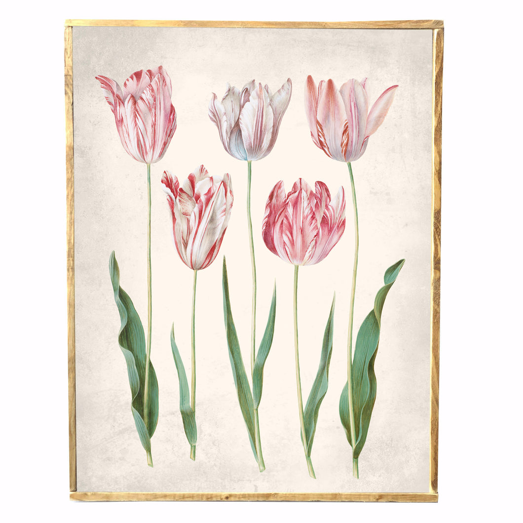 Pink Tulips Vintage Style Framed Print